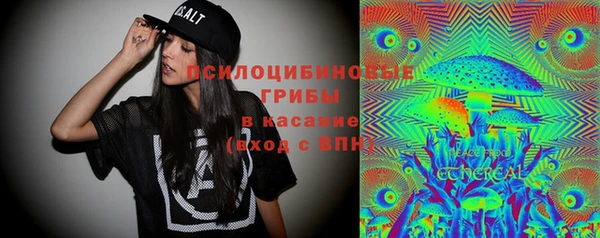 МДПВ Алексин