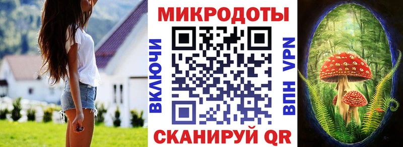 Псилоцибиновые грибы Psilocybine cubensis  Лахденпохья 